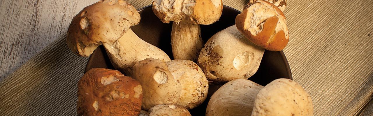 Funghi Oro4Food