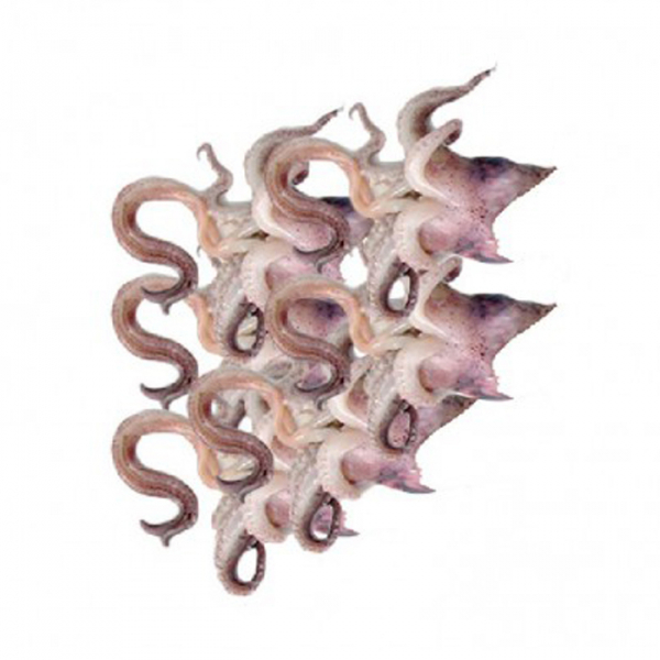 Ciuffi di calamaro surgelati