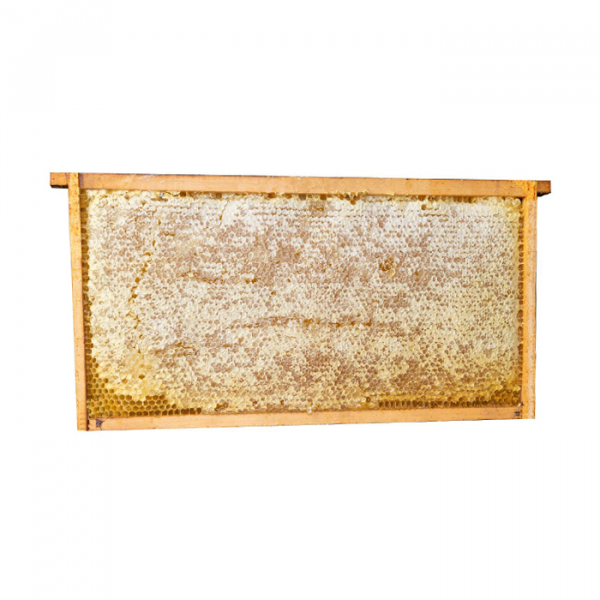 Flower honey in a rectangular honeycomb