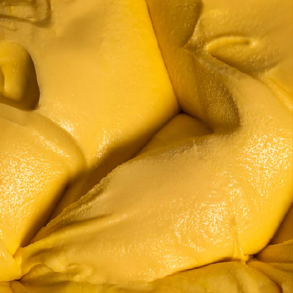 Gelato al mango cremoso di colore giallo intenso, con consistenza liscia. Venduto da Orobica Food.