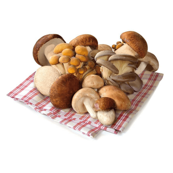 Mixed mushrooms with porcini mushrooms