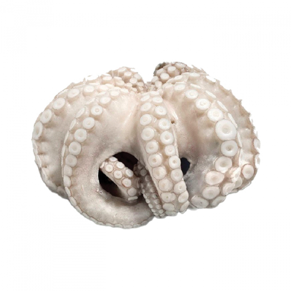 Pulpo Marruecos T3 IQF