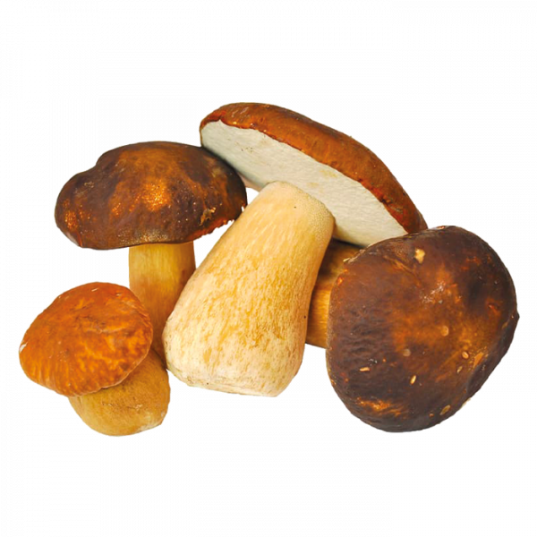 Whole dark porcini mushrooms