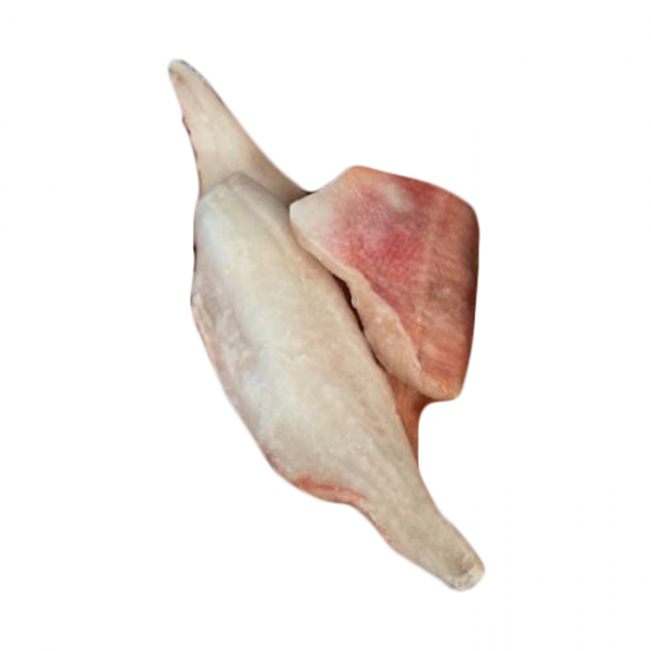 Redfish fillet with skin