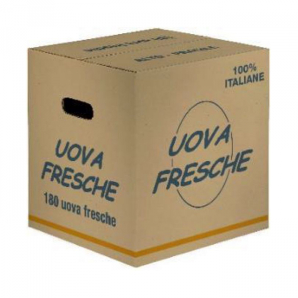 Uova fresche bianche