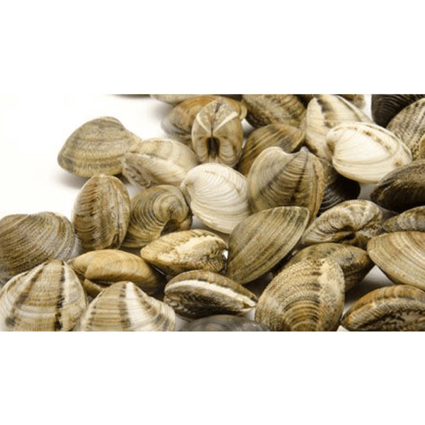 Cooked and frozen clams with shells