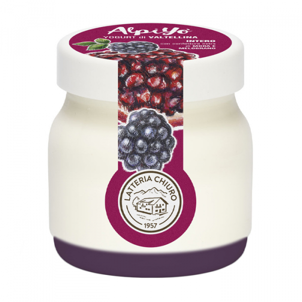 Blackberry and pomegranate yoghurt