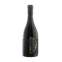 Vino bergamasca pinot nero IGP biologico Divenire 1818 cl.75