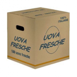 Uova fresche bianche 